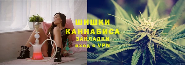 ПСИЛОЦИБИНОВЫЕ ГРИБЫ Алзамай