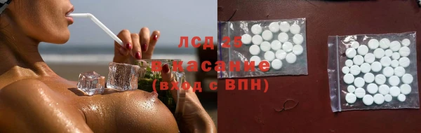 ПСИЛОЦИБИНОВЫЕ ГРИБЫ Алзамай