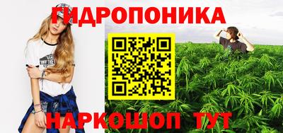 сатива Боровичи