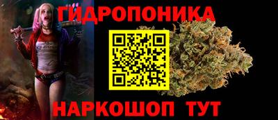 сатива Боровичи