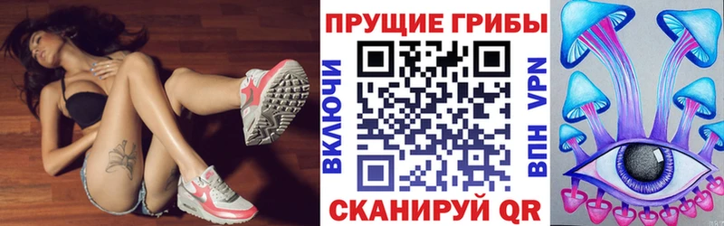 как найти Балабаново Псилоцибиновые грибы ЛСД