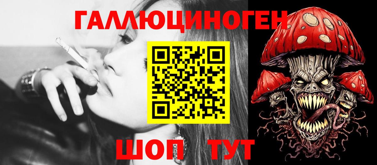 Галлюциногенные грибы Psilocybe Балабаново