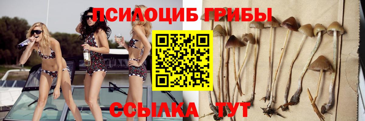 Псилоцибиновые грибы прущие грибы  Галлюциногенные грибы GOLDEN TEACHER  где купить наркоту  Балабаново  Вход с VPN 
