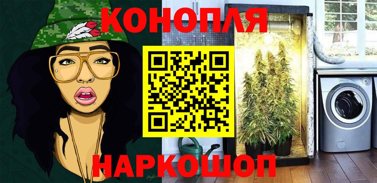 Шишки марихуана гибрид Балабаново